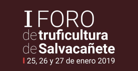 I foro de truficultura de Salvacañete