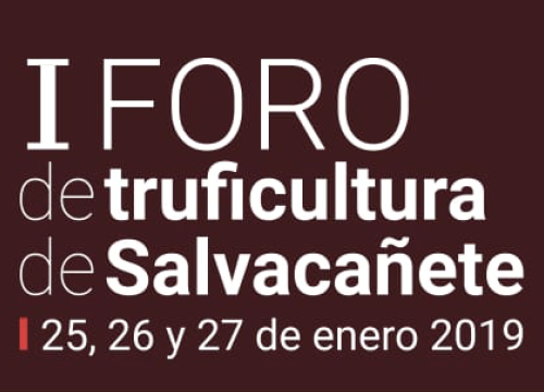 I foro de truficultura de Salvacañete